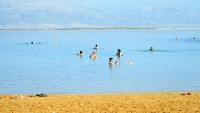 Landskabsbillede viser udsnit af stranden ved Det Døde Hav, hvor psoriasispatienter sendes i klimabehandling. En gruppe mennesker bader i det salte vand ved bredden og flyder. 