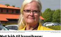 Skærmbillede af nyheden fra Dagens Medicin