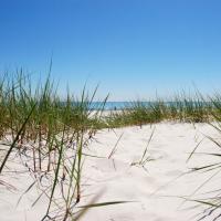 Billede illustrerer dansk sommer med blå himmel og rå klitter med havet i baggrunden. 